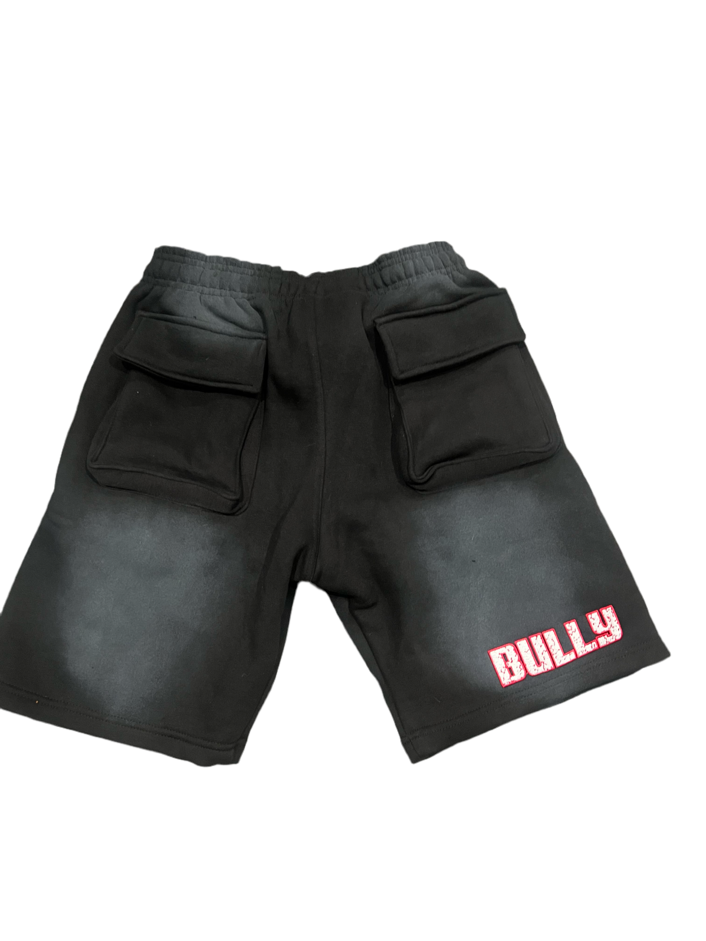 Bully Sun Faded Utility Shorts