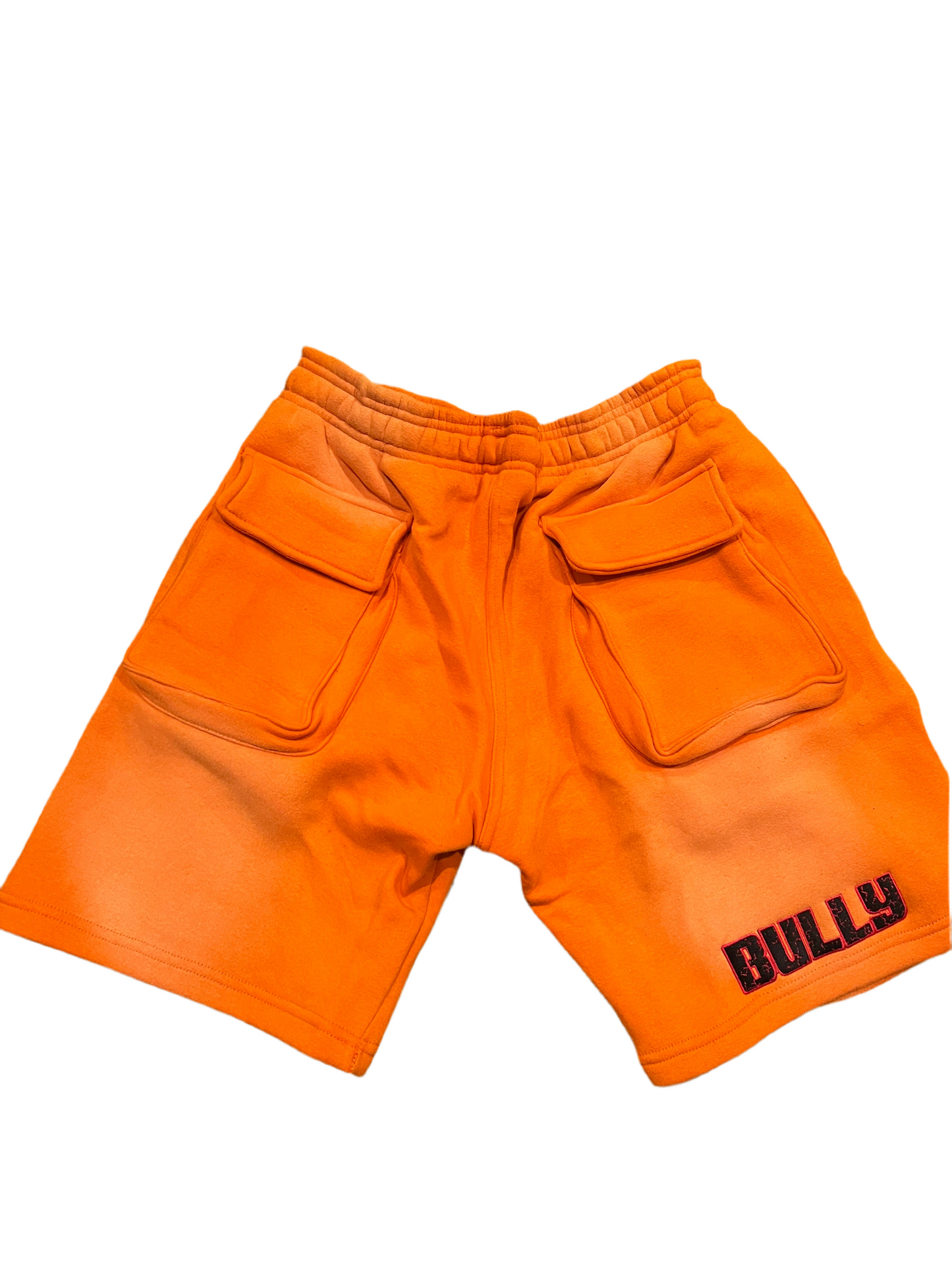 Bully Sun Faded Utility Shorts